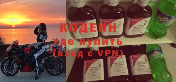 шишки Абаза