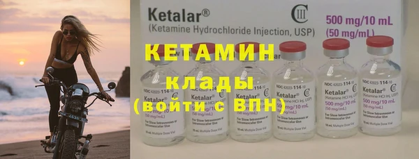 шишки Абаза