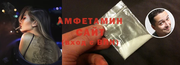 шишки Абаза