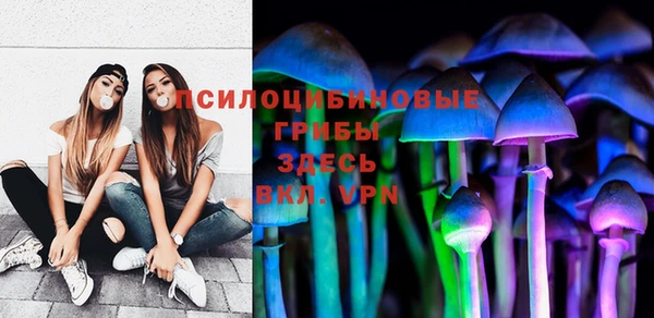 шишки Абинск