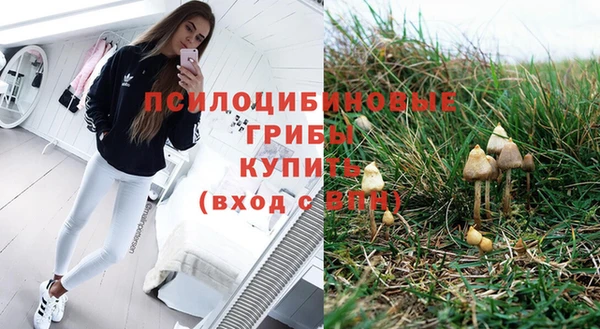 шишки Абинск