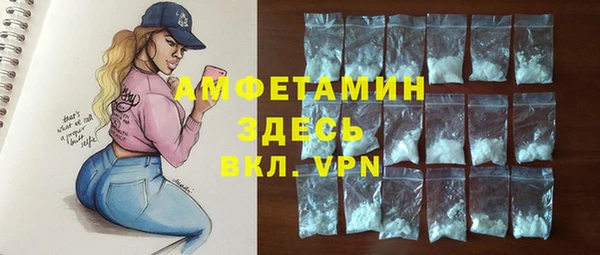 шишки Абаза