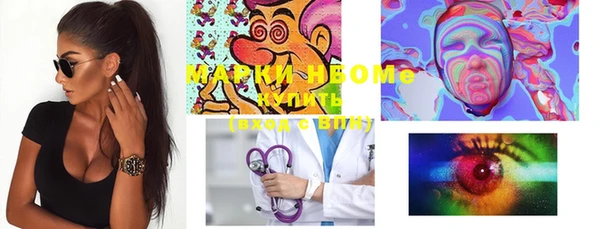 шишки Абаза